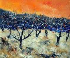 Apple Trees in Winter