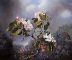 Apple Blossoms and Hummingbird