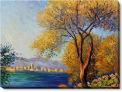 Monet Paintings: Antibes, View of Salis Gallery Wrap