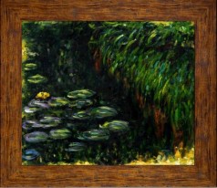 Floral: Water Lilies Pre Framed