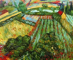 Field with Poppies in Saint Remy, 1889