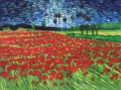 Field of Poppies