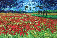 Field of Poppies