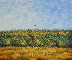 Edge of a Wheat Field with Poppies and a Lark