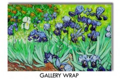 Irises Gallery Wrap