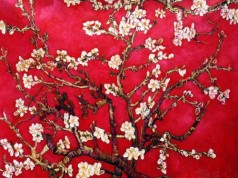 Branches of an Almond Tree in Blossom, Ruby Red