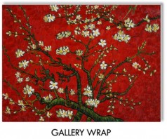 Branches of an Almond Tree in Blossom (Interpretation in Red) Gallery Wrap