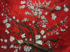 Branches of an Almond Tree in Blossom, Ruby Red