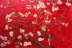 Branches of an Almond Tree in Blossom, Ruby Red