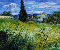 Green Wheat Field with Cypress II