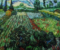 Field with Poppies in Saint Remy (artist interpretation)