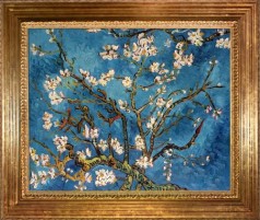 Branches Of An Almond Tree In Blossom Pre-Framed