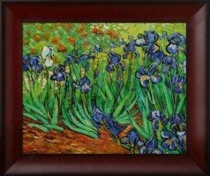 Irises Pre-Framed