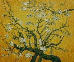 Branches of an Almond Tree in Blossom (Interpretation in Yellow)