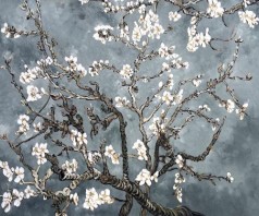 Branches of an Almond Tree in Blossom, Pearl Grey