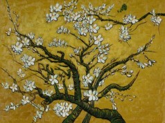 Branches of an Almond Tree in Blossom (Interpretation in Yellow)