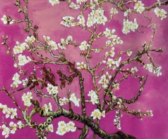 Branches of an Almond Tree in Blossom, Pearl Pink