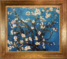 Branches of an Almond Tree in Blossom Pre-Framed