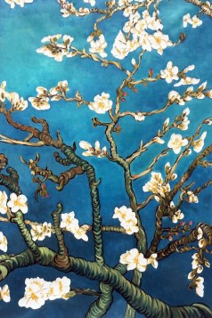 Branches Of An Almond Tree In Blossom