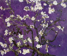 Branches of an Almond Tree in Blossom, Amethyst Purple