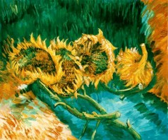 Four Cut Sunflowers