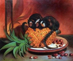 Brazilian Marmosets