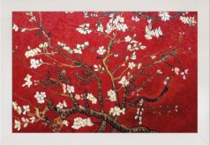 Branches of an Almond Tree in Blossom, Ruby Red Pre-Framed